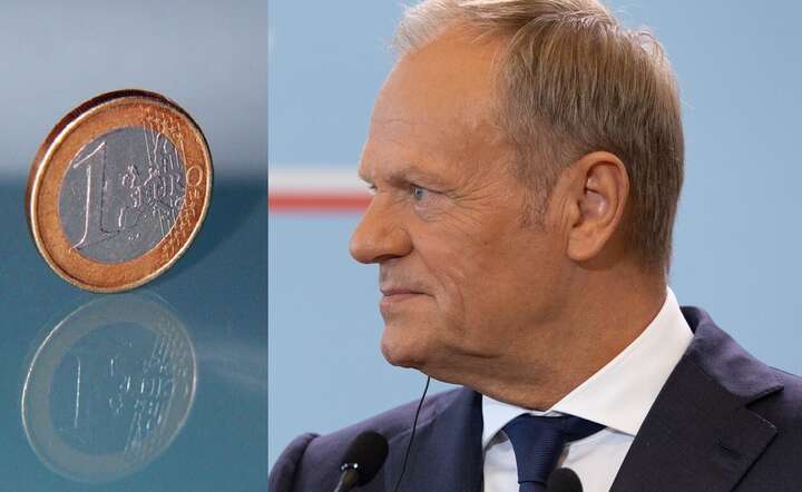 Kto zarobi na obsłudze SAFE? Tylko Niemcy i Francuzi