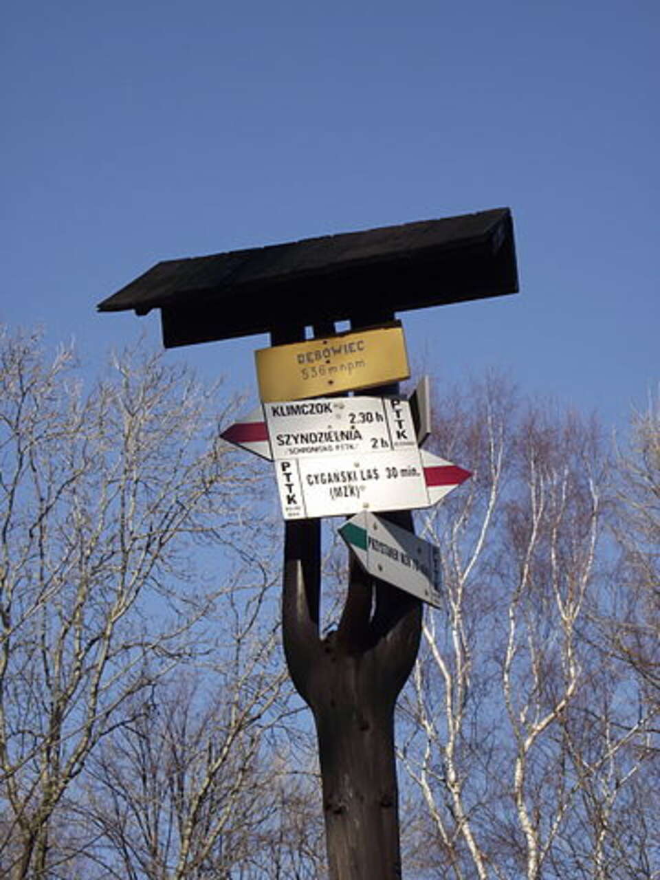 fot. Wikimedia Commons/ Mlody694 Mateusz Nikiel /licencja C.C. 3.0