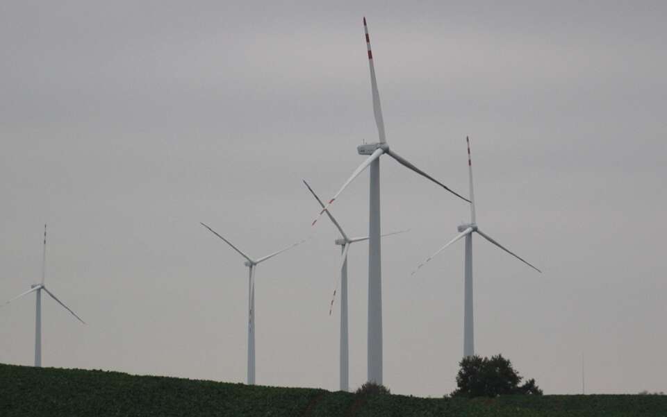 Ból głowy od wiatraków? Przełomowy wyrok francuskiego sądu!