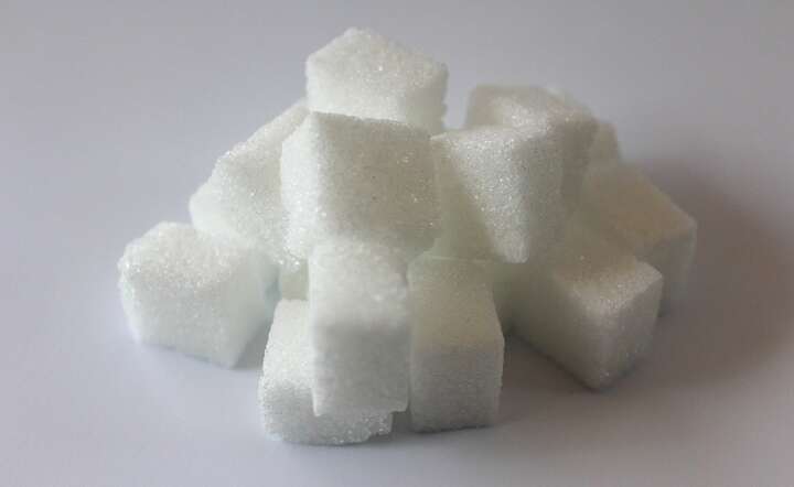 Ograniczenia w eksporcie cukru w Rosji / autor: Pixabay