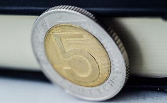 Złoty oddał to co zdobył w relacji do euro