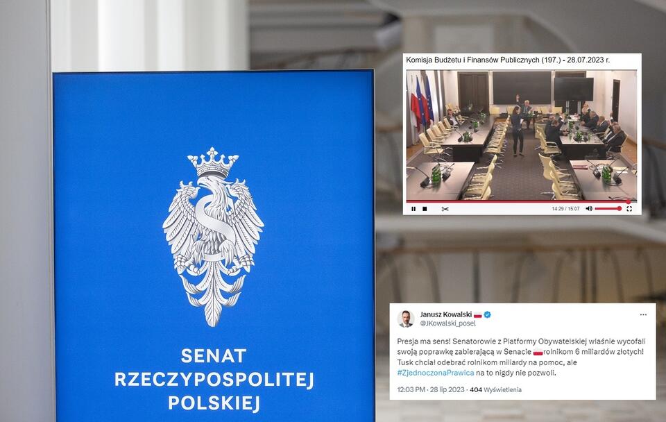 Senat RP; W miniaturze posiedzenie senackiej komisji budżetu i finansów publicznych / autor: Fratria/Twitter/senat.gov.pl