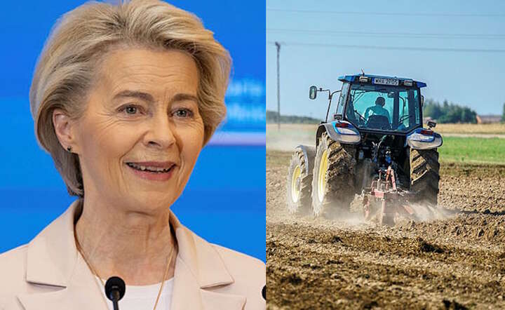 O wiele bardziej efektywne byłyby zachęty finansowe skłaniające do dobrowolnego przekazywania gospodarstw. / autor: Fratria