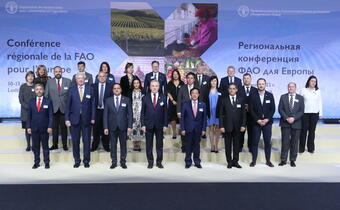 FAO: Polska stała się jednym z ważniejszych krajów dla rolnictwa