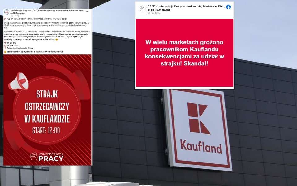 Zdj. ilustracyjne - logo sieci Kaufland / autor: Fratria