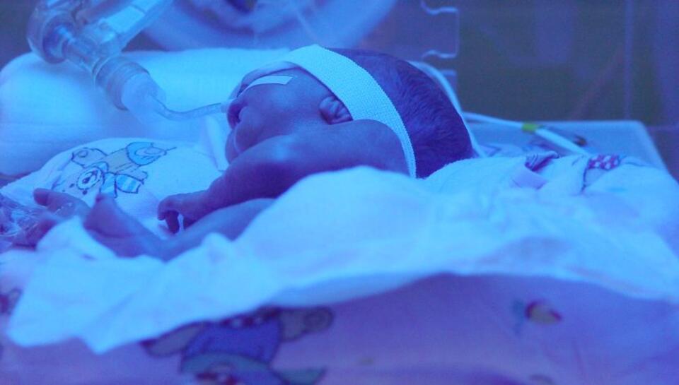 Fot. freeimages.com/zdjęcie ilustracyjne