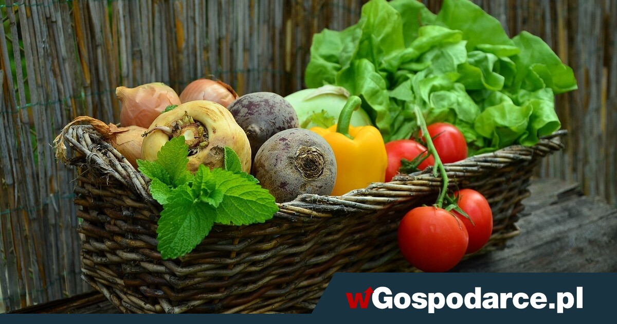 Kolejna branża pada? Zamiast krajowych warzyw - import!