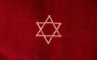 Niemcy: kolejny akt antysemityzmu - uderzono w synagogę