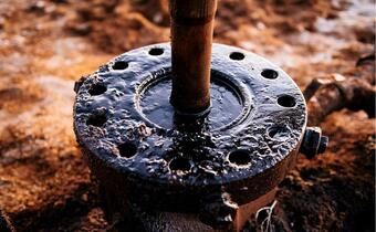 Naftoport przyjął o 30 procent więcej ropy w I półroczu