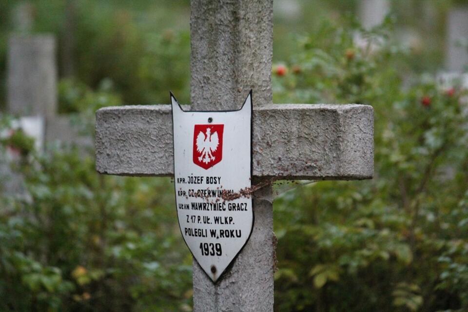 Cmentarz Wojenny w Izabelinie / autor: Michał Karnowski