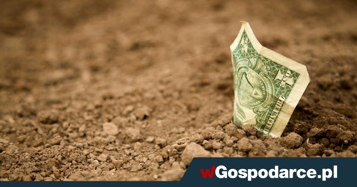 Bezsilny USD, stabilny PLN, niepokojący CHF