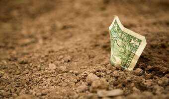 Bezsilny USD, stabilny PLN, niepokojący CHF