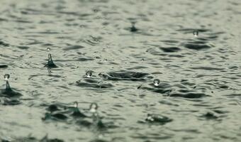 Są już nowe stawki opłat za wodę