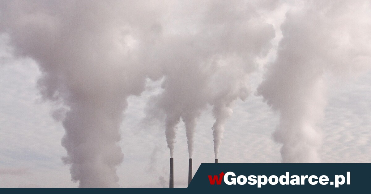 Emisje CO2 vs. polskie firmy. Ich upadek jest bliski?