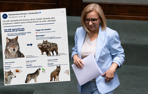 Minister Paulina Hennig-Kloska i wpis MKiŚ / autor: Fratria/FB