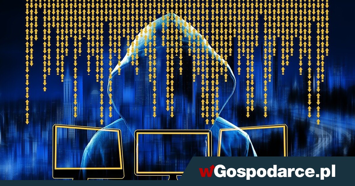 Cyberbezpieczeństwo czy gospodarczy paraliż? Kontrowersje wokół nowelizacji ustawy o Krajowym Systemie Cyberbezpieczeństw