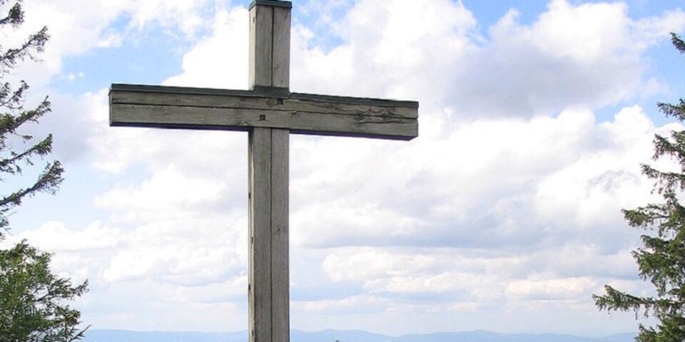 fot.Dirk Beyer/GFDL/ Creative Commons Attribution-Share Alike 3.0 Unported