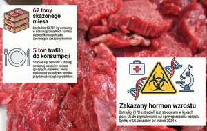 Zdj. ilustracyjne / autor: joon2079/PixabayCC0