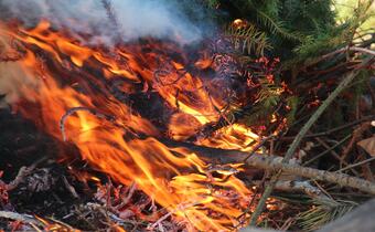 IBL: zwiększone zagrożenie pożarowe w lasach