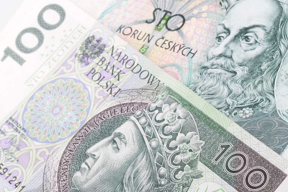 autor:  Liudmyla Kazakova