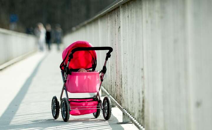 Wskaźniki dzietności w Polsce pozostaną na katastrofalnie niskich poziomach / autor: Pixabay