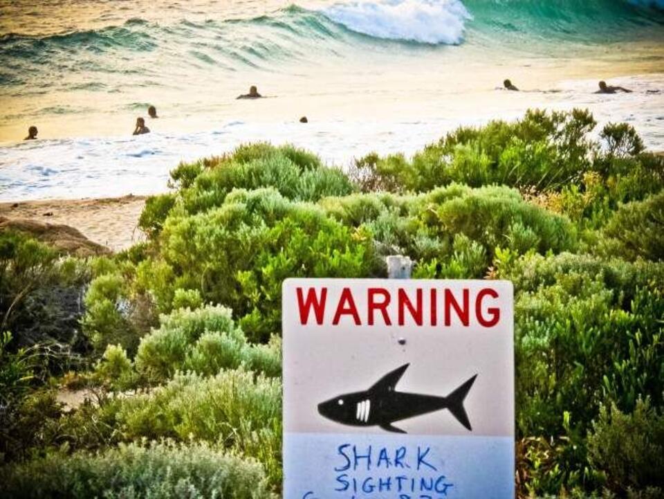 Tablice ostrzegające przed rekinami na plaży gdzie doszło do tragedii. Fot. PAP/EPA