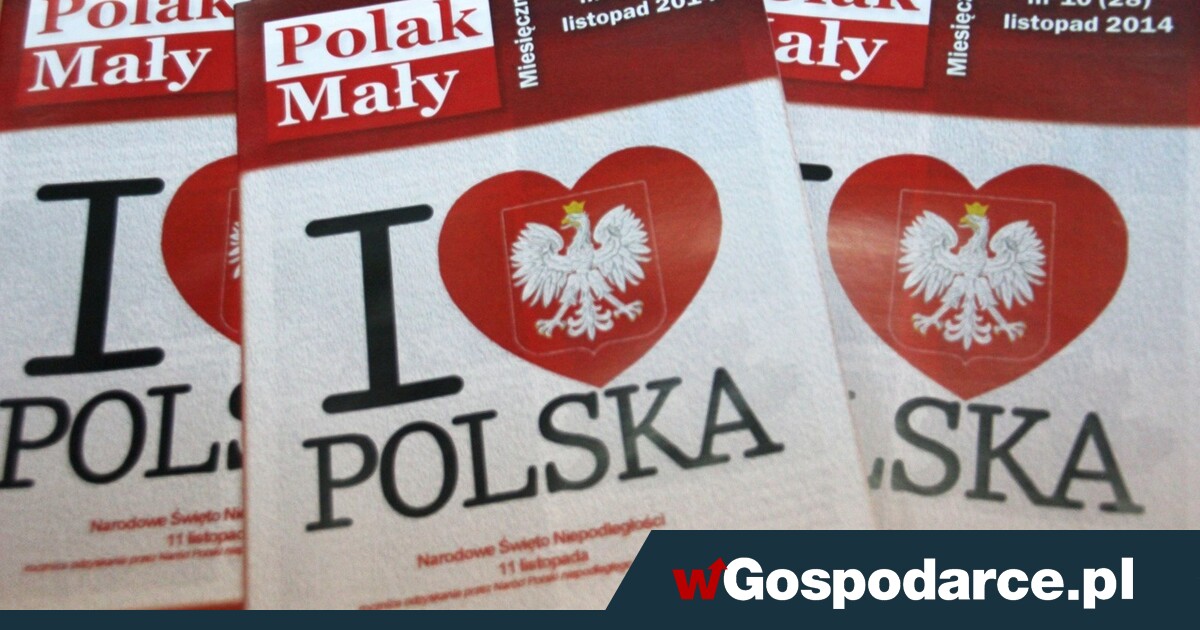 Diaspora to wielka, ale przesypiana szansa