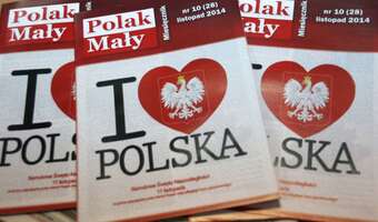 Diaspora to wielka, ale przesypiana szansa
