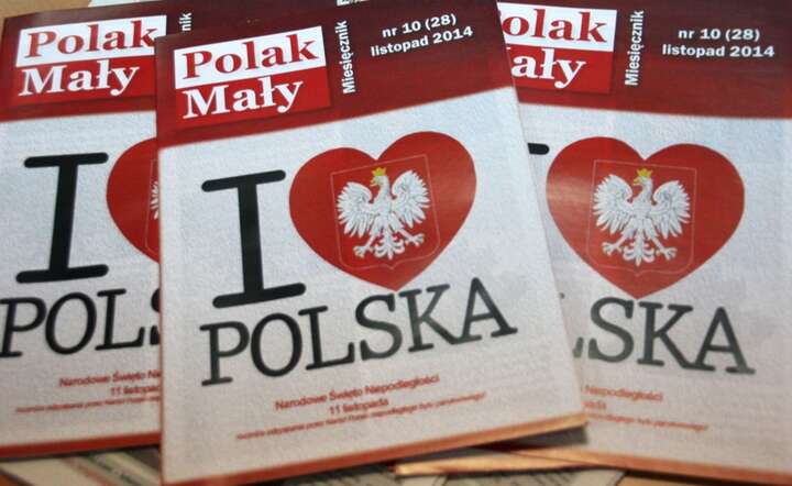 Praca z diasporą i na jej rzecz przynosi wymierne efekty społeczne, polityczne i gospodarcze / autor: Fratria
