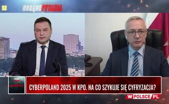 WIDEO: Nawet ponad 40 mld zł na cyfryzację Polski!