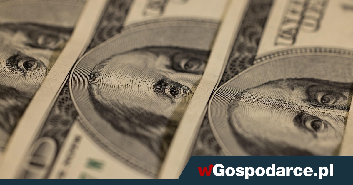 Przewidywalny dolar?