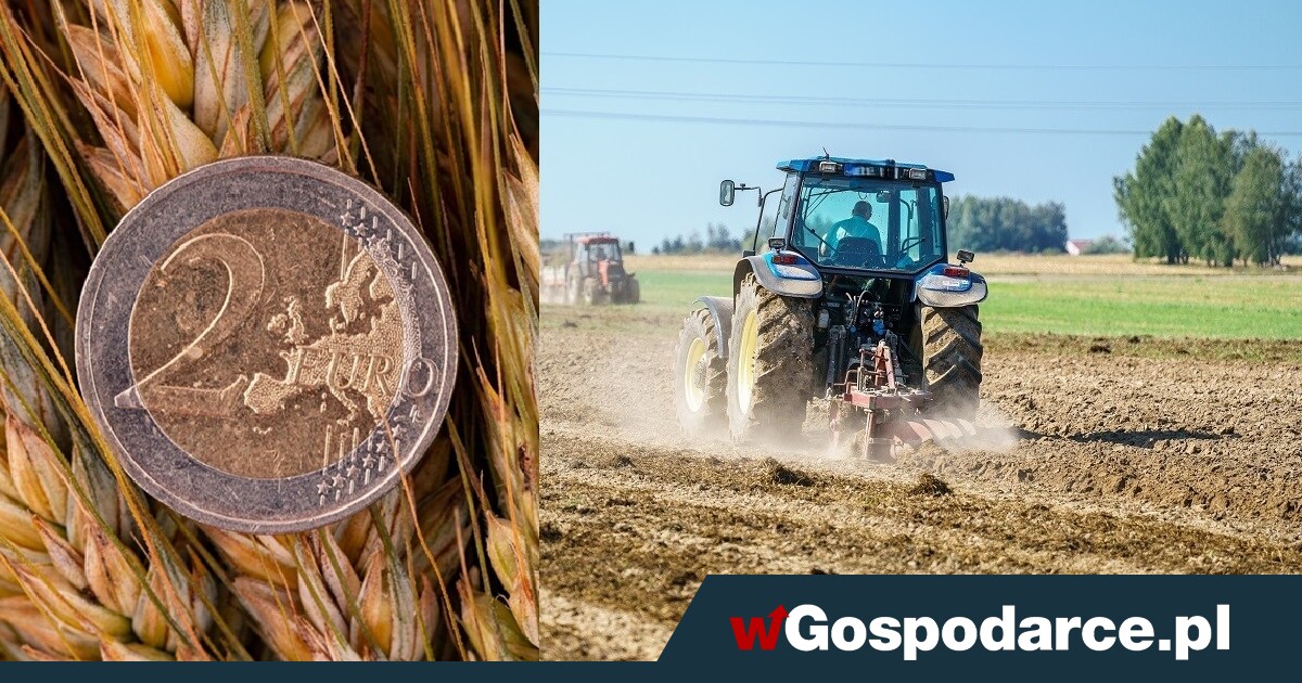 Wziąłeś pieniądze z KPO? Terminy gonią!