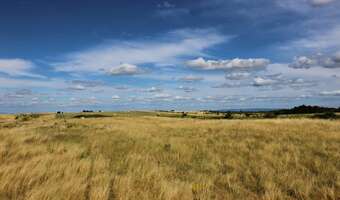 Rośliny energetyczne można uprawiać na nieużytkach