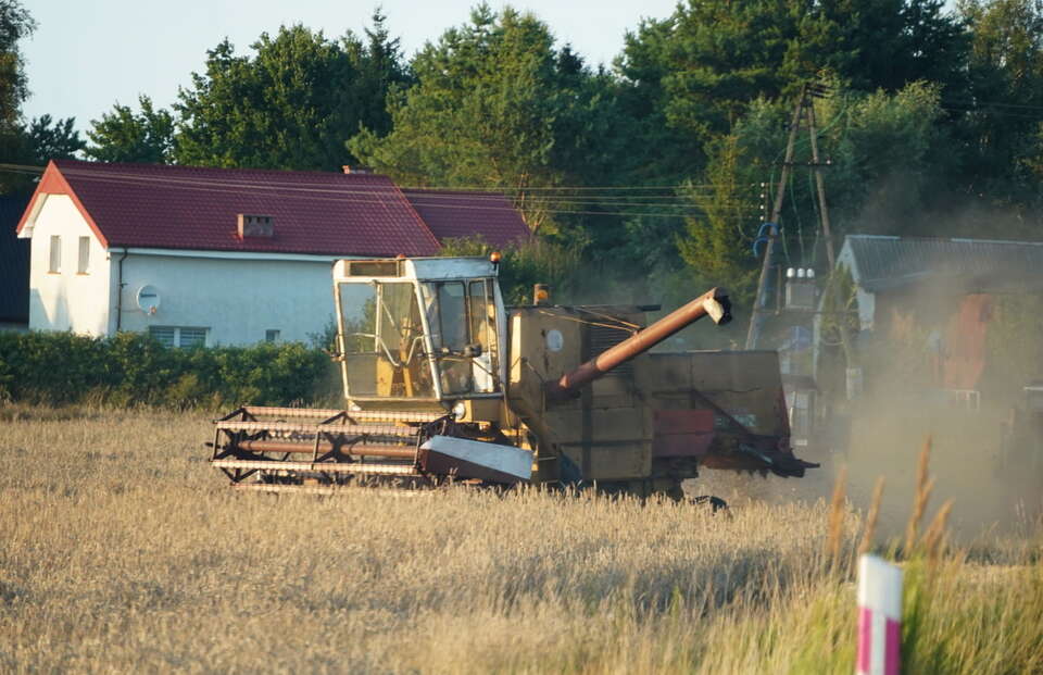 Co czeka polskie rolnictwo? BIG InfoMonitor: Słabe nastroje