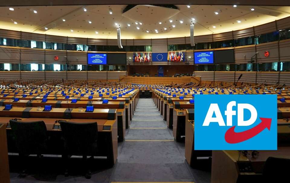 Parlament Europejski i logo AfD / autor: Fratria/afd.de