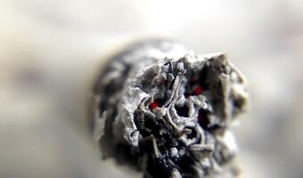 Koniec przyjaźni. Czy odrodzi się szara strefa tytoniowa?