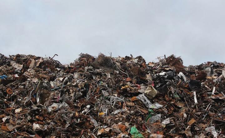 Do Bułgarii wwożone są ogromne ilości śmieci apelują politycy opozycji / autor: Pixabay
