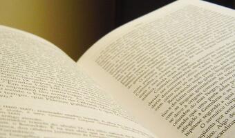 Paragrafem w internautę