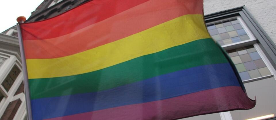 Flaga LGBT / autor: Fratria
