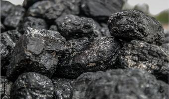 Kupiliśmy od Rosjan 8 mln ton węgla