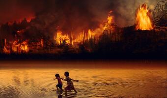 Amazonia: Brazylia jednak przyjmie pomoc