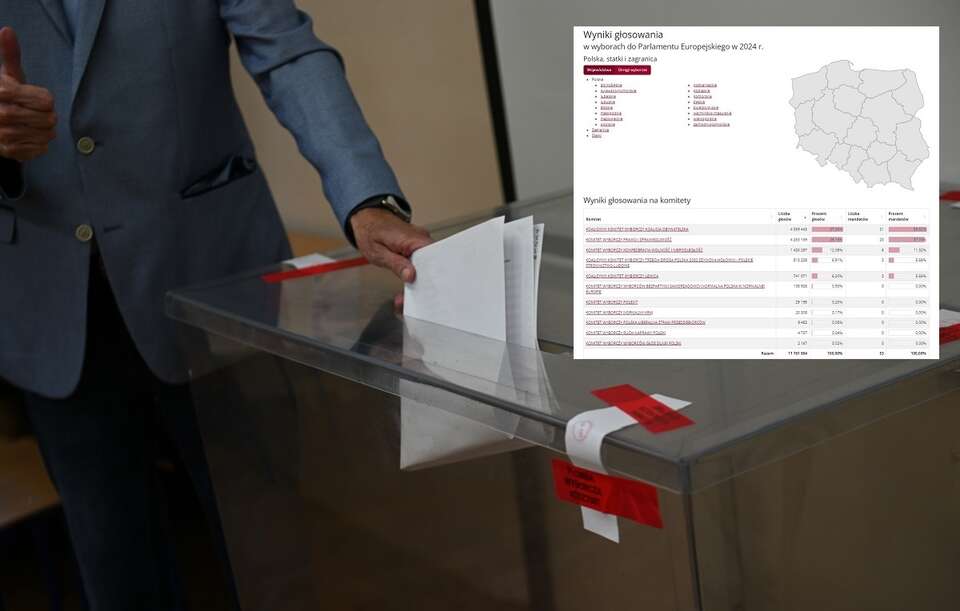 Wybory do PE / autor: PAP/Marcin Bielecki/pkw.gov.pl