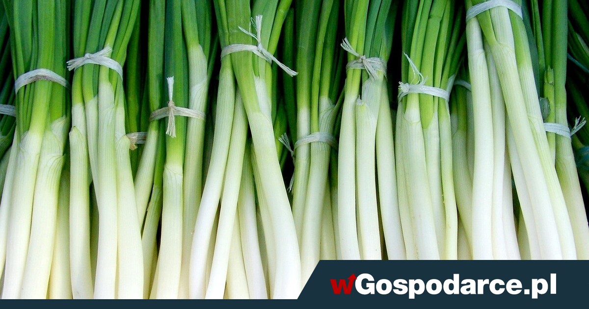 Nowe zasady importu roślin