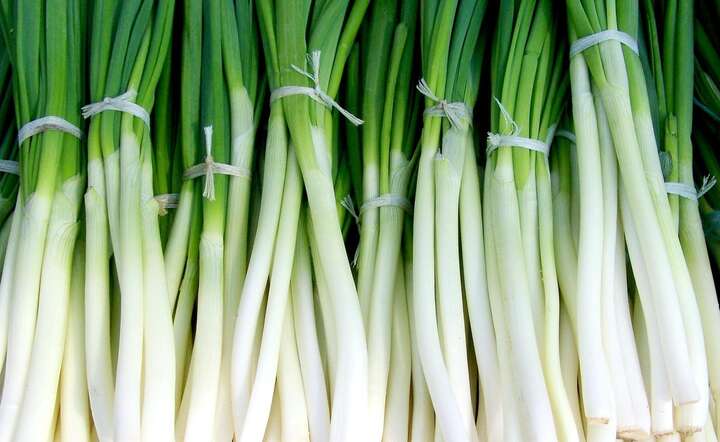 Co opłata za graniczną kontrolę fitosanitarną oznacza dla producentów rolnych? / autor: Pixabay