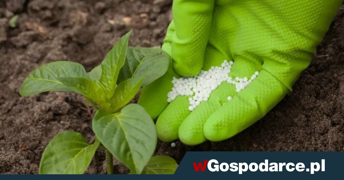 Bruksela chce „odchudzić” ceny nawozów