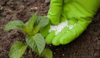 Bruksela chce „odchudzić” ceny nawozów