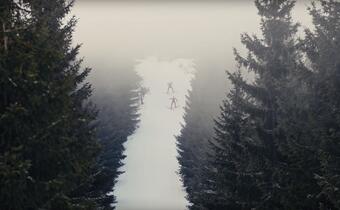 Niewidomi mistrzowie narciarstwa
