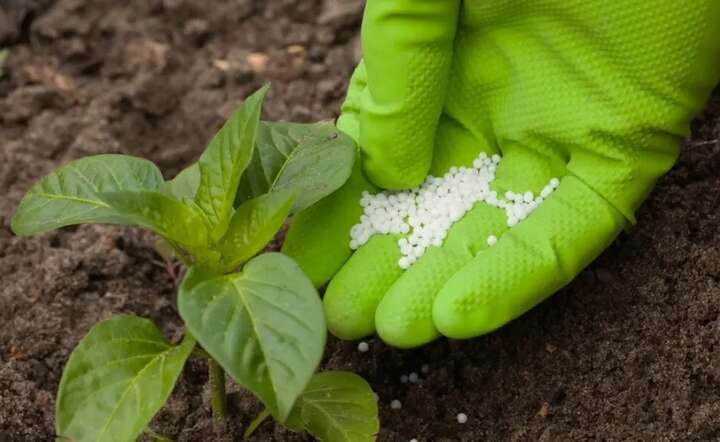 Oszczędności na cłach mogą sięgnąć 60 mln euro rocznie. / autor: Pixabay