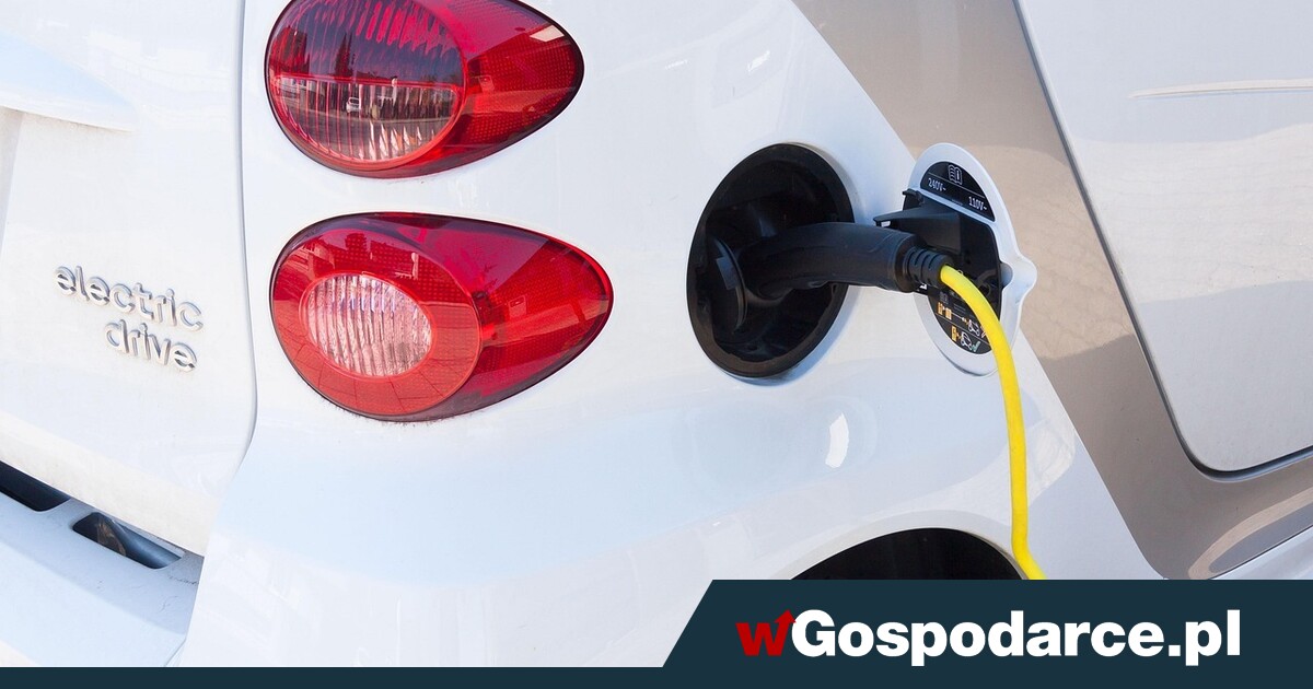 Rekordowy udział rynkowy osobowych „elektryków”
