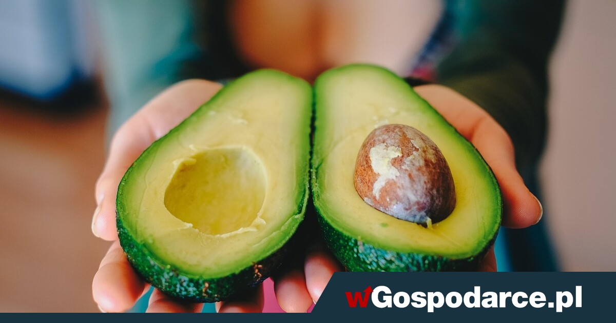 Zobacz dlaczego warto sięgać po awokado…